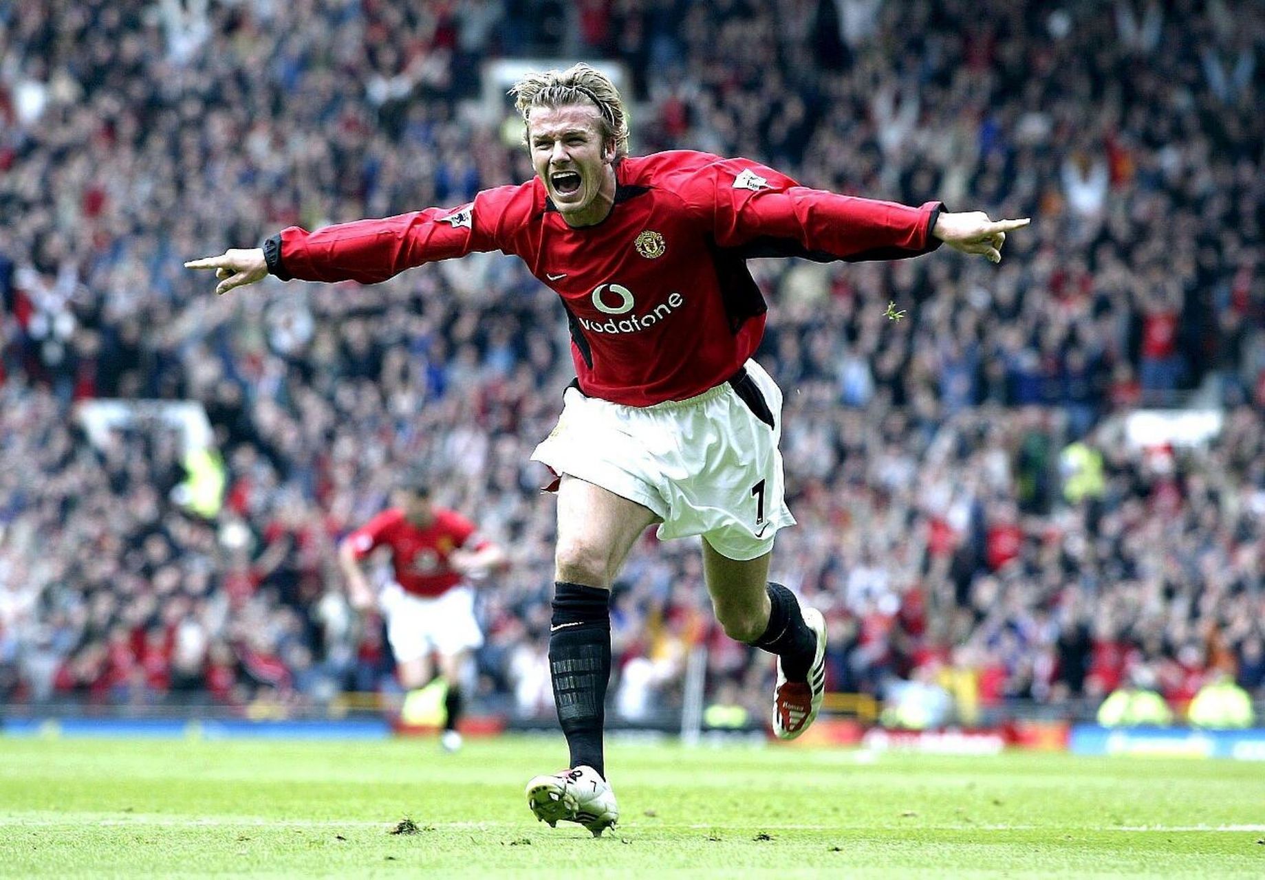 有一种与生 有一种与生